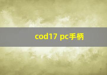 cod17 pc手柄